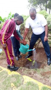 The Tree Planting Conversation and why it is important to inspire Education About it.