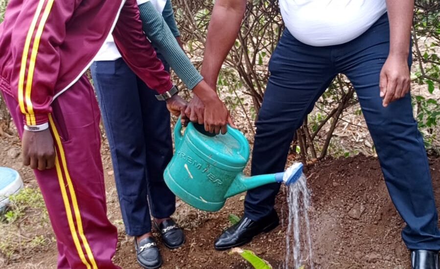 tree planting at Langata Primary